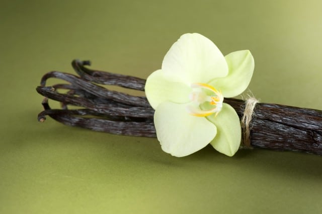 La Vanille, associée du Bien-être La Vanille, associée du Bien-être
