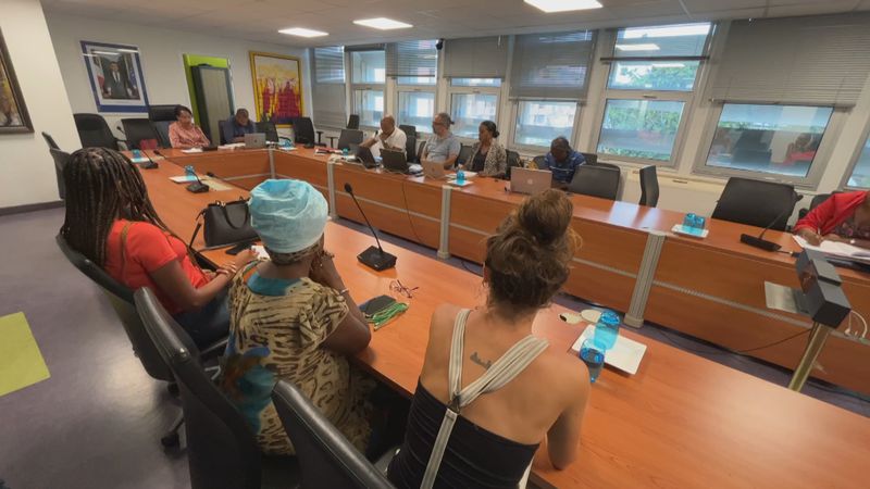 rencontre entre les artistes et les élus de Cap Excellence