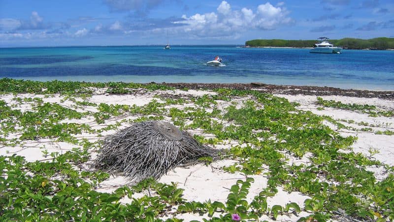 Une des deux îles de Petite-Terre, Désirade