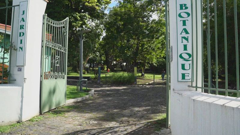 Jardin botanique de Basse-Terre