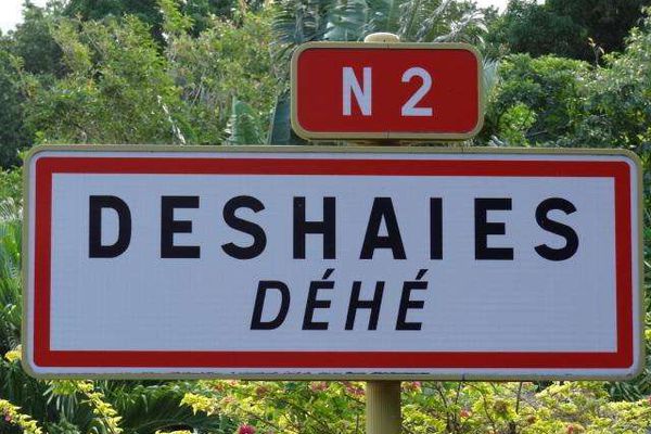 Un octogénaire se noie dans une piscine à Deshaies Un octogénaire se noie dans une piscine à Deshaies