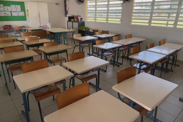 L’école élémentaire de la Jaille de nouveau fermée pour suspicion d’intoxication L’école élémentaire de la Jaille de nouveau fermée pour suspicion d’intoxication