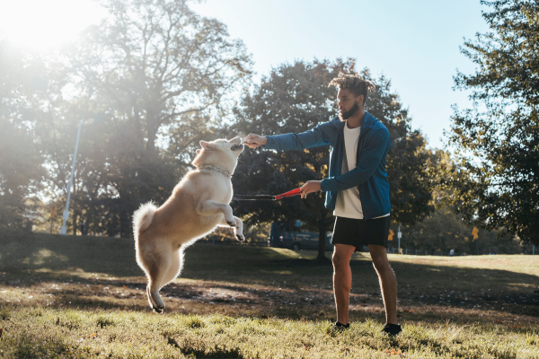 Harmoniser la Relation Homme-Chien : Les Clés d’une Éducation Canine Réussie avec Esprit Dog Harmoniser la Relation Homme-Chien : Les Clés d’une Éducation Canine Réussie avec Esprit Dog