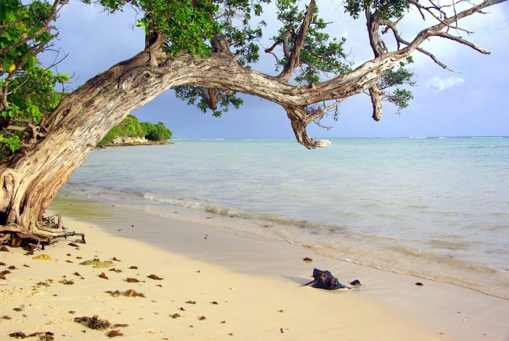 5 lieux à voir absolument en Guadeloupe 5 lieux à voir absolument en Guadeloupe