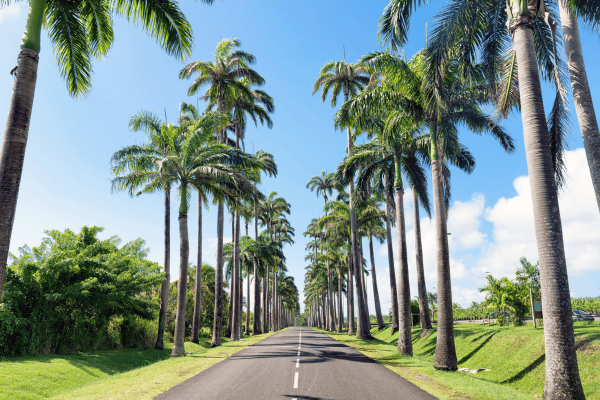 Quels sont les points à vérifier avant de partir en road trip ? Quels sont les points à vérifier avant de partir en road trip ?