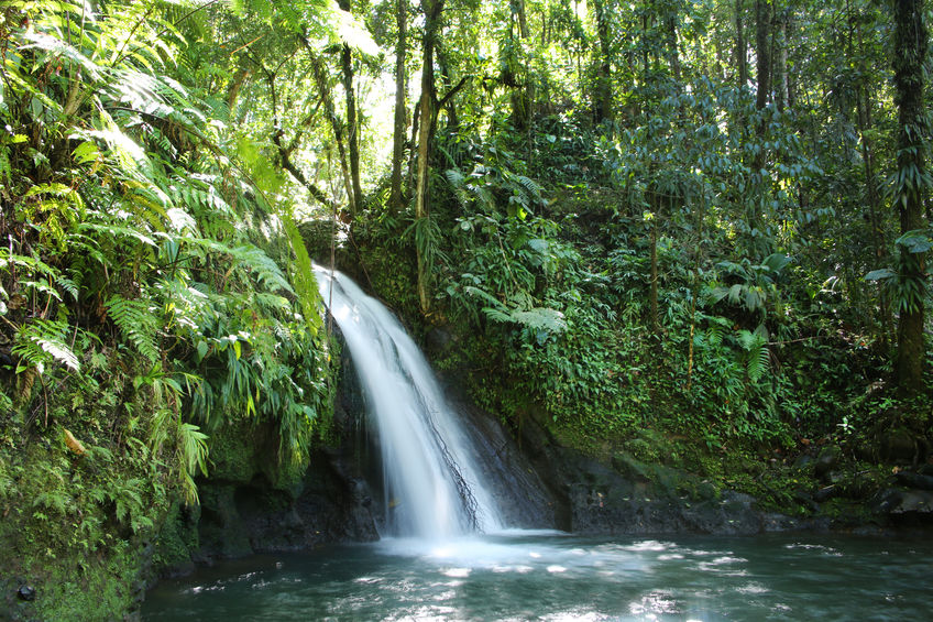Voyage en Guadeloupe : quelle est la bonne période pour y aller ? Voyage en Guadeloupe : quelle est la bonne période pour y aller ?