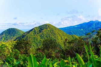 Les meilleures façons de prendre l’avion pour la Guadeloupe Les meilleures façons de prendre l’avion pour la Guadeloupe