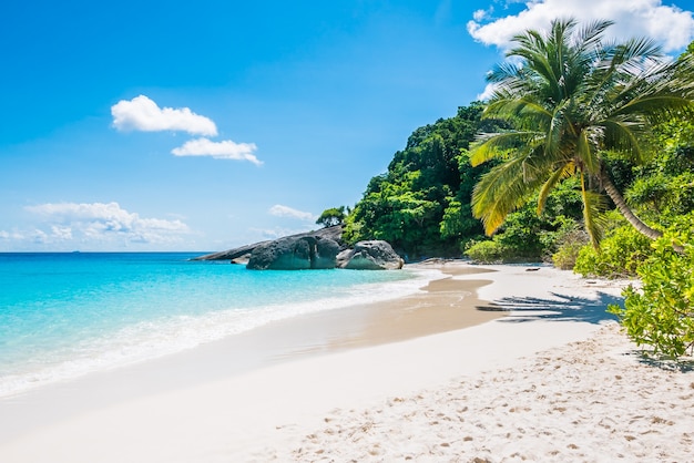 Où jouer au casino en Guadeloupe : Guide complet Où jouer au casino en Guadeloupe : Guide complet