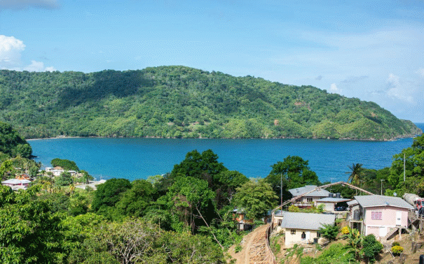 Comparatif vie quotidienne : Guadeloupe vs destinations tropicales populaires Comparatif vie quotidienne : Guadeloupe vs destinations tropicales populaires